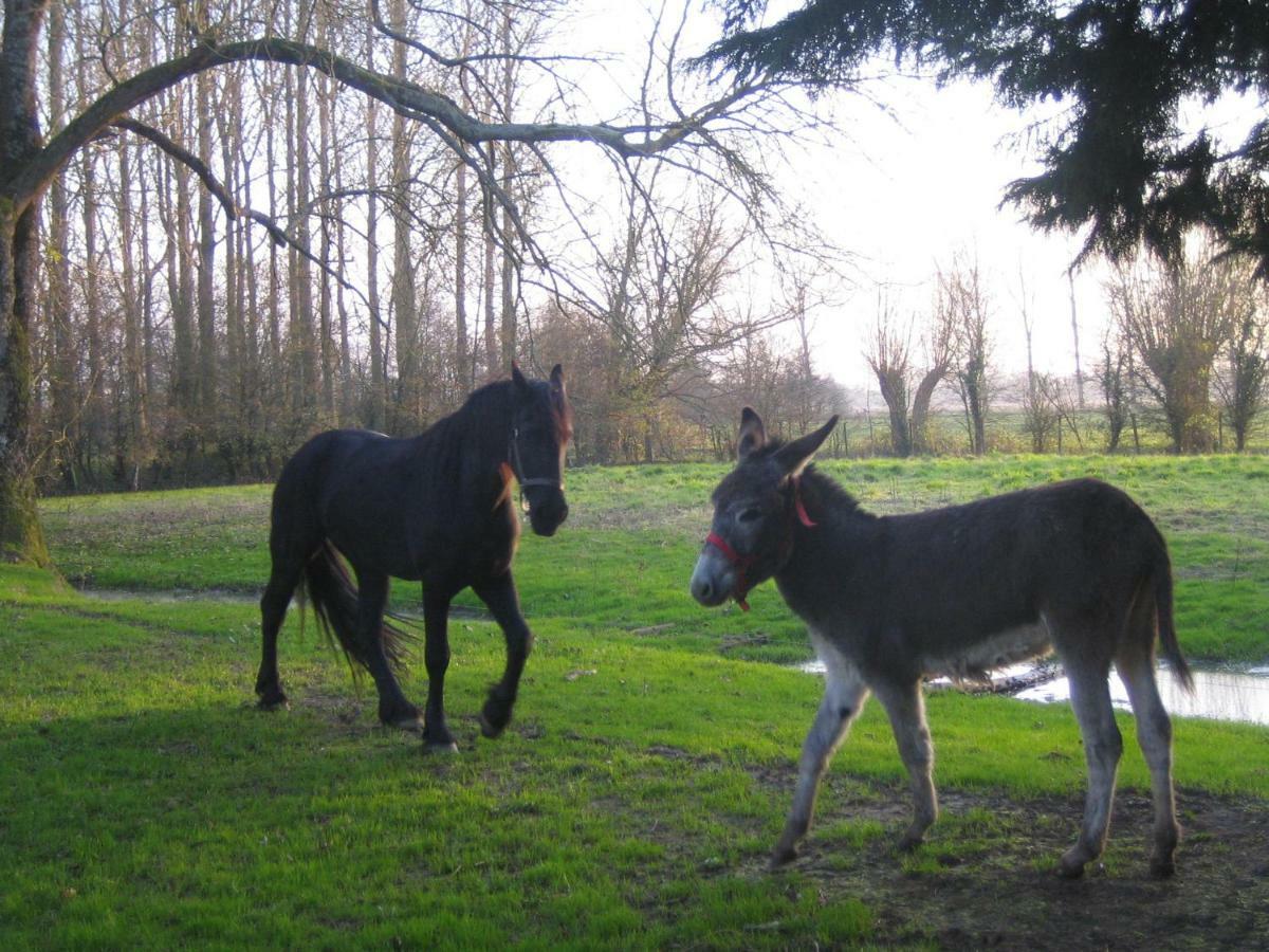 La Ferme De Tigny Villa Kültér fotó