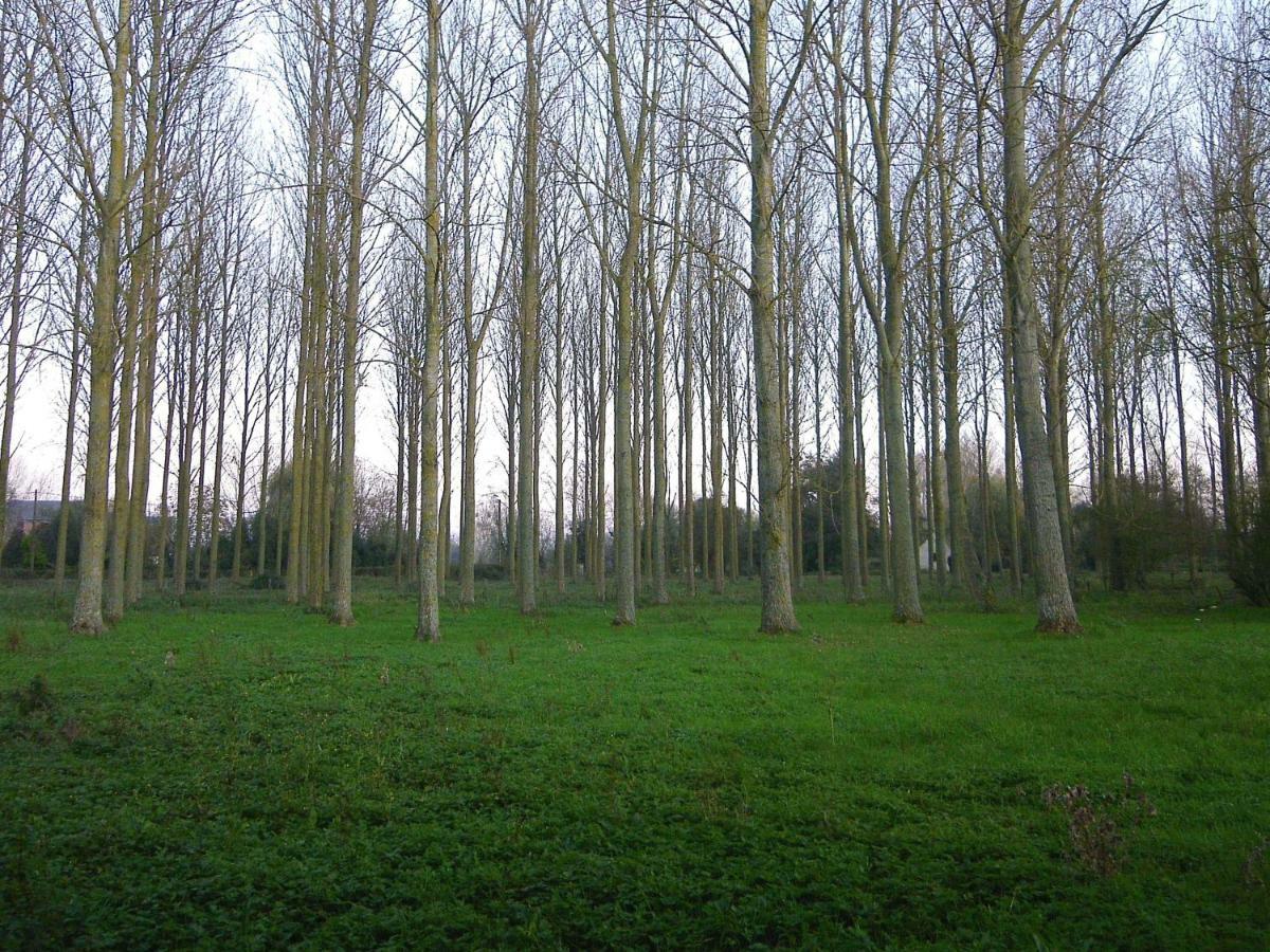 La Ferme De Tigny Villa Kültér fotó