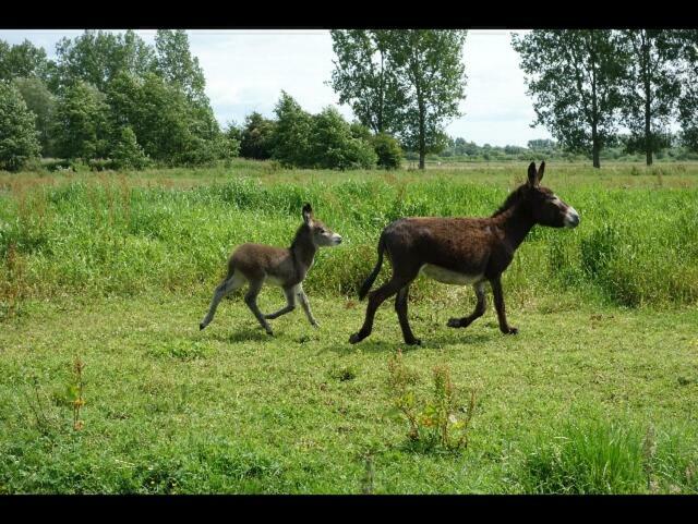 La Ferme De Tigny Villa Kültér fotó